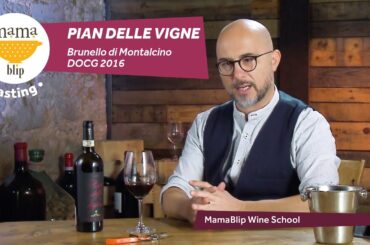 Pian delle Vigne Brunello di Montalcino DOCG 2016 - Wine Tasting