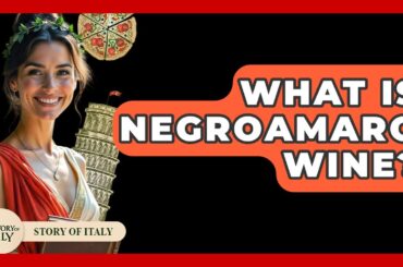 What Is Negroamaro Wine? - Story Of Italy