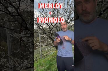 Understanding Pignolo Wines From Friuli, Italy #wine #italianwines #friuliveneziagiulia #organicwine