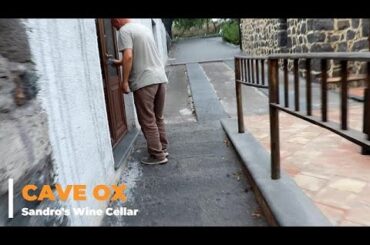 Wine Cellar's | Cave Ox - Sandro's Wine Cellar (English subtitles)
