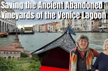 Saving the Ancient Abandoned Vineyards of the Venice Lagoon