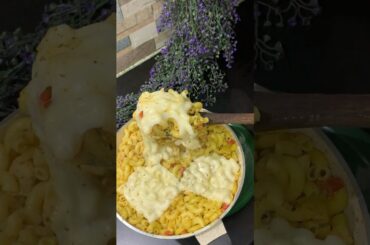 Creamy Restaurant Style Macaroni Recipe | Quick Pasta by Yumm Dum #shorts #cookingrecipes