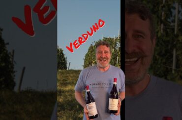 Pelaverga Wines from Piedmont are Amazine #wine #piedmont #italianwine
