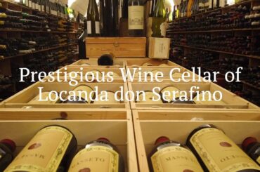 Wine Cellar's | Prestigious cellar of Locanda don Serafino