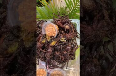 Full of fried jars with special flavored fat. #food #cook #khmerfood #short #foryou