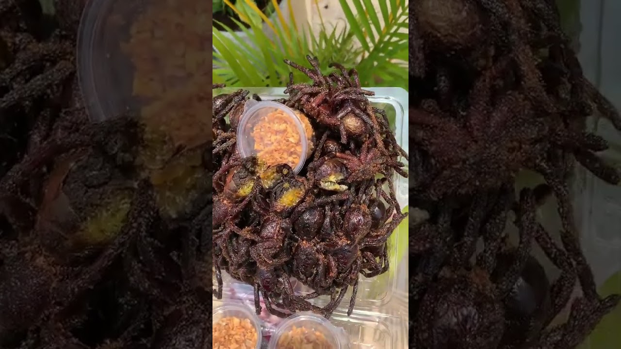 Full of fried jars with special flavored fat. #food #cook #khmerfood #short #foryou Full of fried jars with special flavored fat. #food #cook #khmerfood #short #foryou