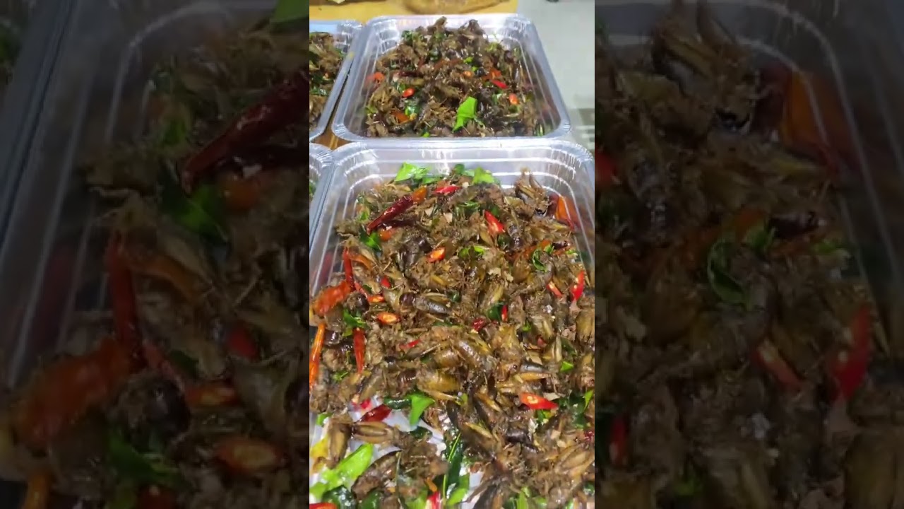 Fried insects have a special taste. #food #cook #khmerfood #short #foryou Fried insects have a special taste. #food #cook #khmerfood #short #foryou