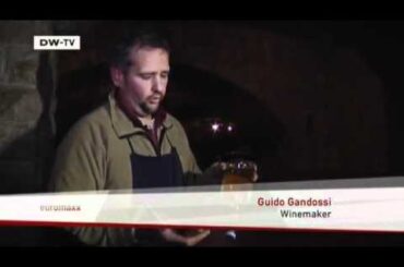 Franciacorta sparkling wine | Video of the day