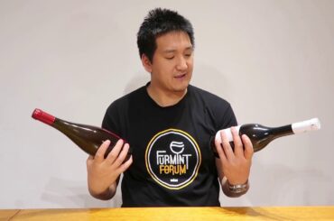 Slovak Wine: Thoughts On Slovak Tokaj