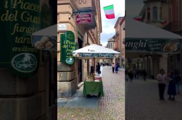 A glimpse of Alba, Italy: The heart of truffles and incredible wines.