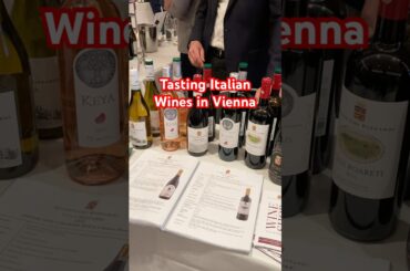 Selezione Italia: A Taste of Italy in the Heart of Vienna | #Vinovistara #Wine