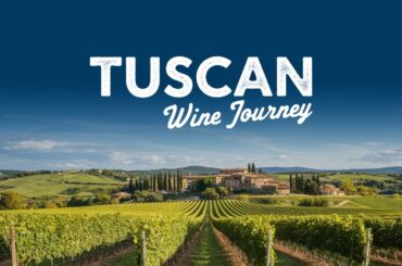 Tuscany Wine Guide | The Best Wines, Food Pairings & History Explained