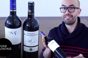 Wine Training - Cabernet Sauvignon | Wine Training School