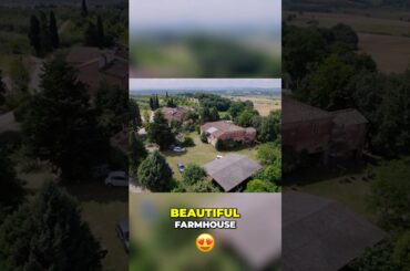 Monte San Savino Farmhouse Tour  Organic Olive Oil & Wine