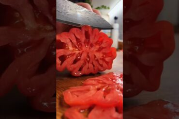 Why Italians Were Scared of Tomatoes #shorts #food #tomato #foodshorts