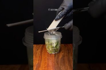 Chicken Pesto Sandwich #asmr #shorts #trending #food #foodie #youtubeshorts @kstastytown