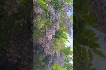 Beyond the Map: Europe’s Hidden Soul #travel #automobile  #wine #tuscany #drone #bologna