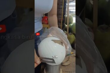 40 Ribu Sepotong Kelapa Tua di Italia! Cocobello! #faktaunik #kelapa #italia  #shortsviral