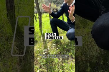 Why Biodynamic Wine Matters in Tuscany? | Tuscany Uncorked Shorts