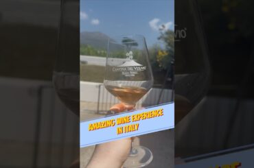 Amazing Wine Experience in Italy #wine #italy #naples #vesuvius #pompeii