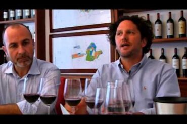 JAMESSUCKLING.COM - Bolgheri - Ornellaia - The Wine