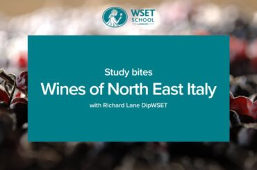 Study bites: wines of North East Italy (WSET Level 3 wine)