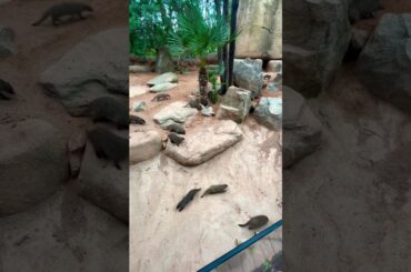 Bold lifestyle #travel #liveinspain #spain #food #italy #viajes #beach #sevilla #lifeinspain