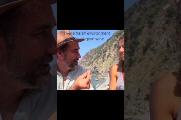 Great wine comes from harsh environment #wine #terroir #winetasting