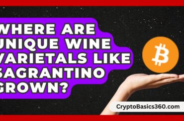 Where Are Unique Wine Varietals Like Sagrantino Grown? | Fine Wine Facts