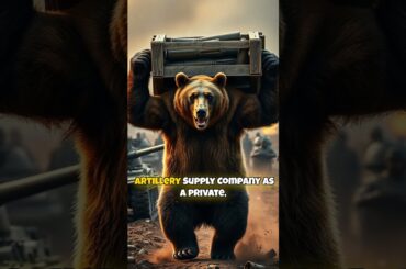 The Bear Who Became a Private During World War II