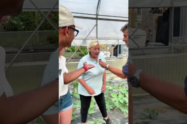 Italian Vegetable  #noakhali #italyvisa #vegetable #jabedekram #italyprobashi