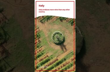 Italy Is the World’s Top Wine Producer