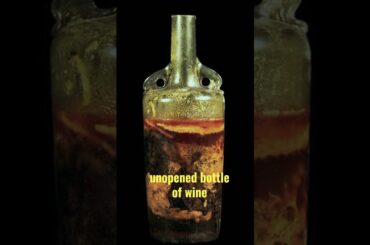 Duniya ki sabse purani Sarab | World's oldest wine | #shorts #shortsfeed