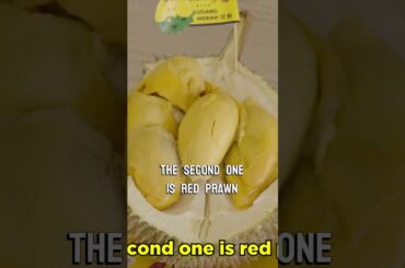 ITS SO INSANEEE! TASTING AND DESCRIBING DIFFERENT TYPES OF DURIAN #food #durian #shorts #malaysia