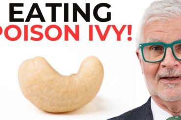 The Secret About CASHEWS Nobody Tells You About | Dr. Gundry