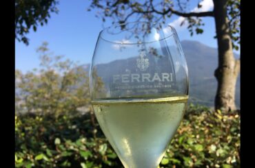 Trentino’s Secret Weapon: How Italian Winemakers Are Fighting Global Warming | Wine Oh TV