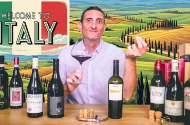 Delicious Italian Wines | Your 2025 Collection Part.1