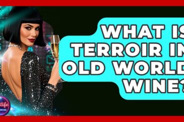 What Is Terroir In Old World Wine? - Nightlife Experiences