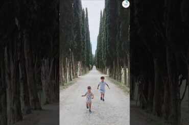 Inside Tuscany's Hidden Village of Greve, the Home of the Renaissance and Vampire Wine