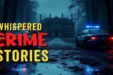 True Crime For Sleep | The Subtle Smuggling Operation Hidden in Italian Wine Casks