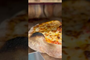 Neapolitan Pizza Dough