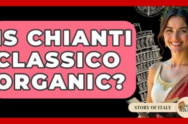 Is Chianti Classico Organic? - Story Of Italy