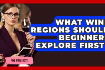 What Wine Regions Should Beginners Explore First? | Fine Wine Facts