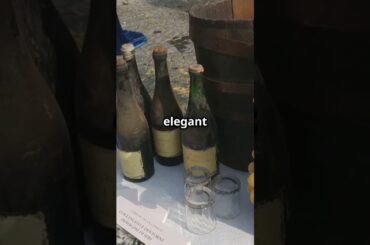 Top 3 Wine Regions in Italy You Need to Visit This September! #italytravel #italianwine #shorts