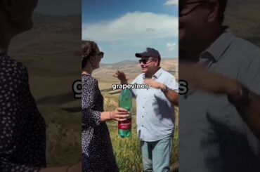 Ancient Vine Secrets: How History & Heritage Live On #wine #vineyard #italy #winemaking #history