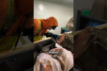 This man picked the wrong fish for the challenge