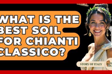 What Is The Best Soil For Chianti Classico? - Story Of Italy