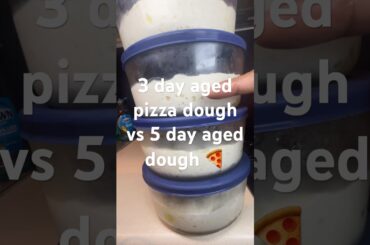 72 hour pizza dough progression timeline.