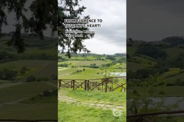 Scenic Tuscany Tour from Florence | Rolling Hills, Wineries & Lunch #shorts #italy #travel