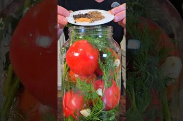 Fermented Tomatoes | Tangy, Probiotic-Rich & Packed with Flavor